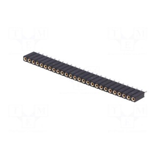 Socket | pin strips | female | PIN: 26 | turned contacts | straight