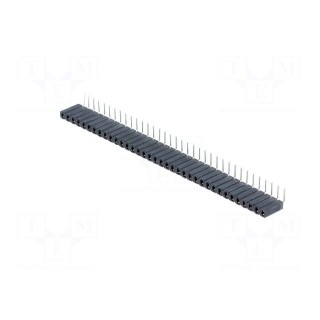 Socket | pin strips | female | PIN: 36 | angled 90° | 2.54mm | THT | 1x36