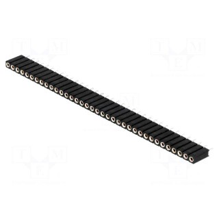 Socket | pin strips | female | PIN: 36 | turned contacts | straight