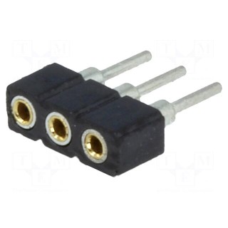 Socket | pin strips | female | PIN: 3 | low profile,turned contacts