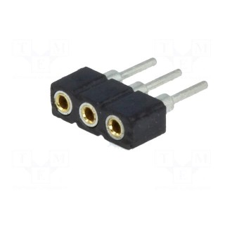 Socket | pin strips | female | PIN: 3 | low profile,turned contacts