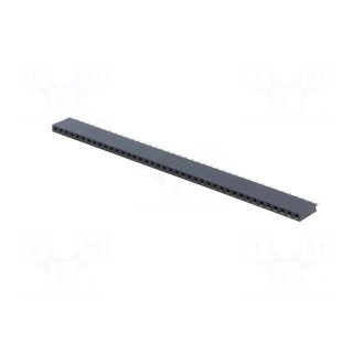 Socket | pin strips | female | PIN: 40 | straight | 2.54mm | THT | 1x40
