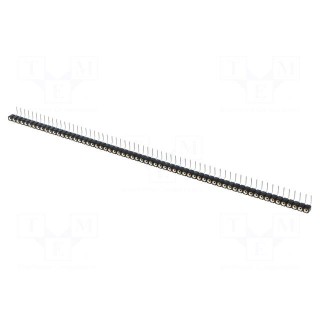 Socket | pin strips | female | PIN: 64 | turned contacts | angled 90°