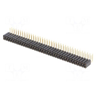 Socket | pin strips | female | PIN: 72 | angled 90° | 2.54mm | THT | 2x36