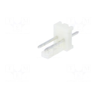 Socket | wire-board | male | PIN: 2 | 2.54mm | THT | MAS-CON | tinned