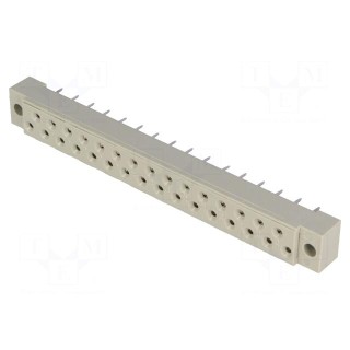 Socket | DIN 41617 | female | PIN: 31 | THT | straight | 4A | 250V | B: 75mm