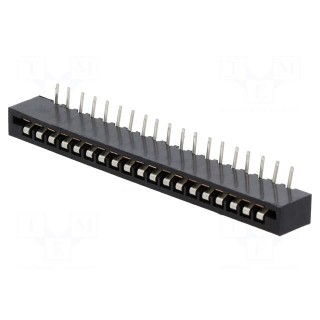 Connector: FFC/FPC | angled 90° | PIN: 19 | Non-ZIF | THT | tinned | 20mΩ