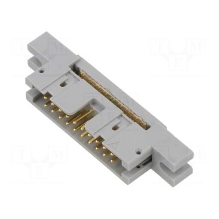 Plug | IDC | male | PIN: 20 | IDC | for ribbon cable | 1.27mm | gold-plated
