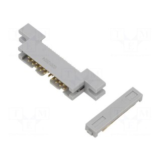 Plug | IDC | male | PIN: 20 | IDC | for ribbon cable | 1.27mm | gold-plated