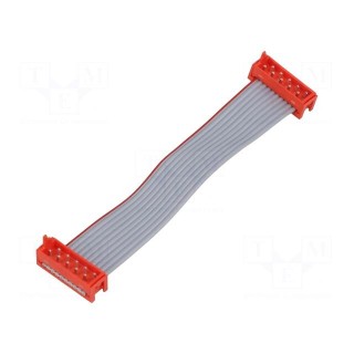 Ribbon cable with connectors | Cable ph: 1.27mm | Len: 75mm | PIN: 10