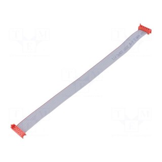 Ribbon cable with connectors | Cable ph: 1.27mm | Len: 0.2m | PIN: 10