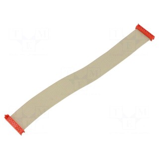 Cable: ribbon cable with connectors | PIN: 18 | Layout: 2x9 | plug