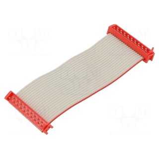 Ribbon cable with connectors | Cable ph: 1.27mm | Len: 75mm | PIN: 20