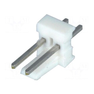 Socket | wire-board | male | PIN: 2 | polarized | 2.54mm | THT | MTA-100