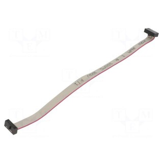 5+5 Pos. Female DIL Cable Assembly 150mm double-end