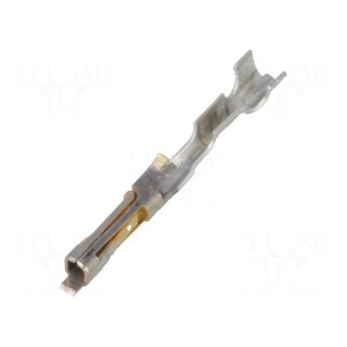 Contact | female | 30AWG÷24AWG | SL | gold-plated | crimped | for cable