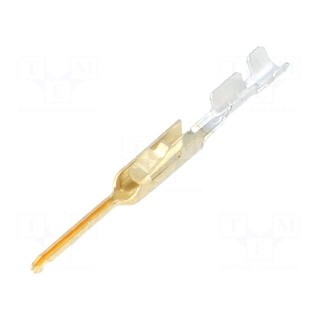 Contact | male | 0.12÷0.4mm2 | 26AWG÷22AWG | AMPMODU MTE | gold-plated