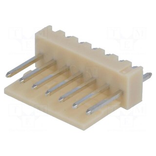 Socket | wire-board | male | NS25 | 2.54mm | PIN: 7 | THT | 250V | 3A | tinned