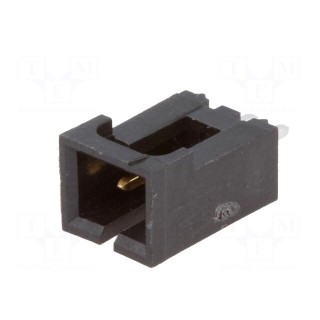 Socket | wire-board | male | SL | 2.54mm | PIN: 2 | THT | gold-plated