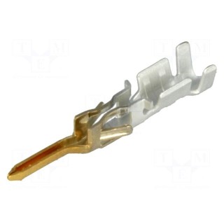 Contact | male | gold-plated | 0.25÷0.5mm2 | 24AWG÷20AWG | crimped