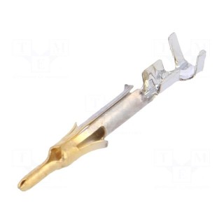 Contact | male | brass | selectively gold plated | 0.12÷0.3mm2 | bulk