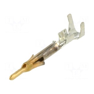 Contact | male | brass | selectively gold plated | 0.3÷0.8mm2 | bulk