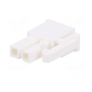 Plug | wire-wire/PCB | female | Minitek® Pwr 4.2 | 4.2mm | PIN: 2 | FCI