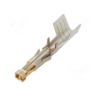Contact | female | gold-plated | 12AWG | Mega-Fit | cut from reel | 23A