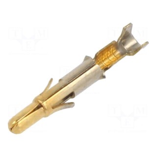 Contact | male | brass | gold-plated | 0.2÷0.8mm2 | 24AWG÷18AWG | bulk