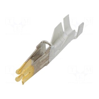 Contact | female | gold-plated | 12AWG÷10AWG | Mini-Fit Sr | crimped