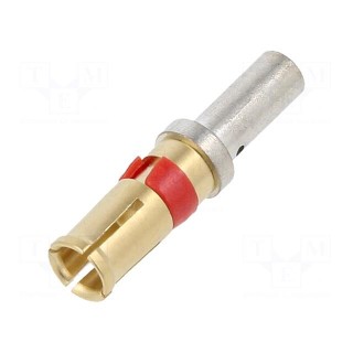Contact | female | gold-plated | 12AWG÷14AWG | 20A