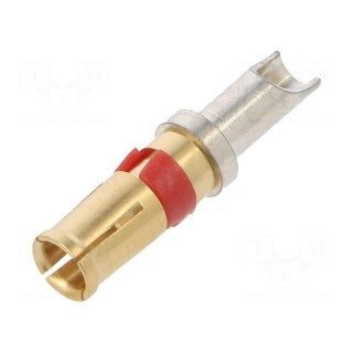 Contact | female | gold-plated | 12AWG | 20A
