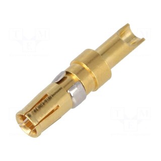 Contact | female | 14AWG÷12AWG | gold-plated | soldering | for cable