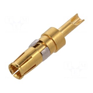 Contact | female | 20AWG÷16AWG | gold-plated | soldering | for cable