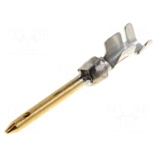 Contact | male | copper alloy | gold-plated | 0.2÷0.56mm2 | AMPLIMITE