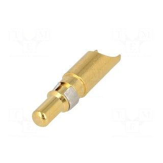 Contact | male | copper alloy | gold-plated | 10AWG÷8AWG | soldering
