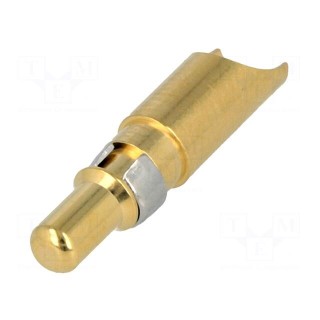 Contact | male | copper alloy | gold-plated | 10AWG÷8AWG | soldering