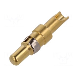 Contact | male | copper alloy | gold-plated | 14AWG÷12AWG | soldering