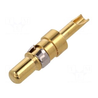 Contact | male | 20AWG÷16AWG | gold-plated | soldering | for cable | 10A
