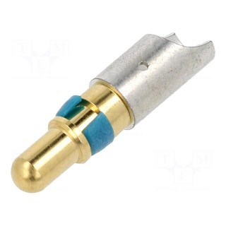 Contact | male | gold-plated | 8AWG | 40A