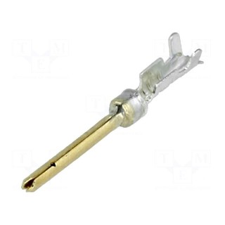 Contact | male | gold-plated | crimped | for cable