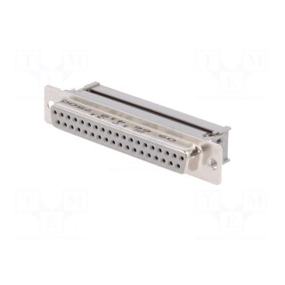 D-Sub | PIN: 37 | plug | female | for ribbon cable | IDC | 1.27mm