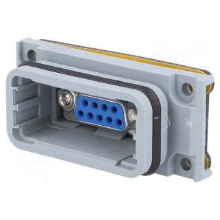 Transition: D-Sub coupler | D-Sub 9pin socket,both sides | PIN: 9