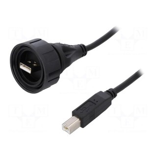 Cable | USB A plug,USB B plug | 2m | IP68 | USB Buccaneer