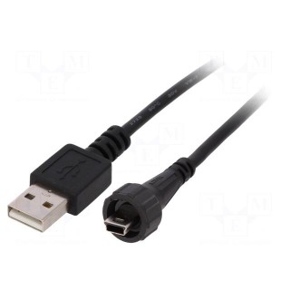 Adapter cable | USB A plug,mini USB B plug (sealed) | IP67 | 2m