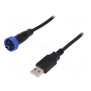 Adapter cable | USB A plug,USB B mini plug (sealed) | IP68 | 3m