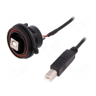 Socket | USB B | USB B plug,USB B socket-front | USB Buccaneer