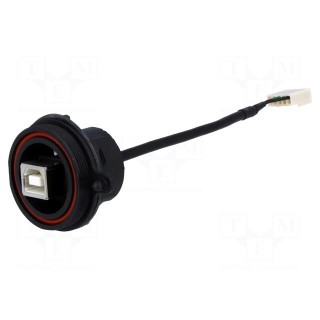 Socket | USB B | USB Buccaneer | for panel mounting,rear side nut