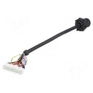 Socket | USB C | USB Buccaneer | for panel mounting,front side nut