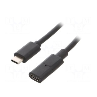 USB-USB | USB C socket,USB C plug | 0.3m